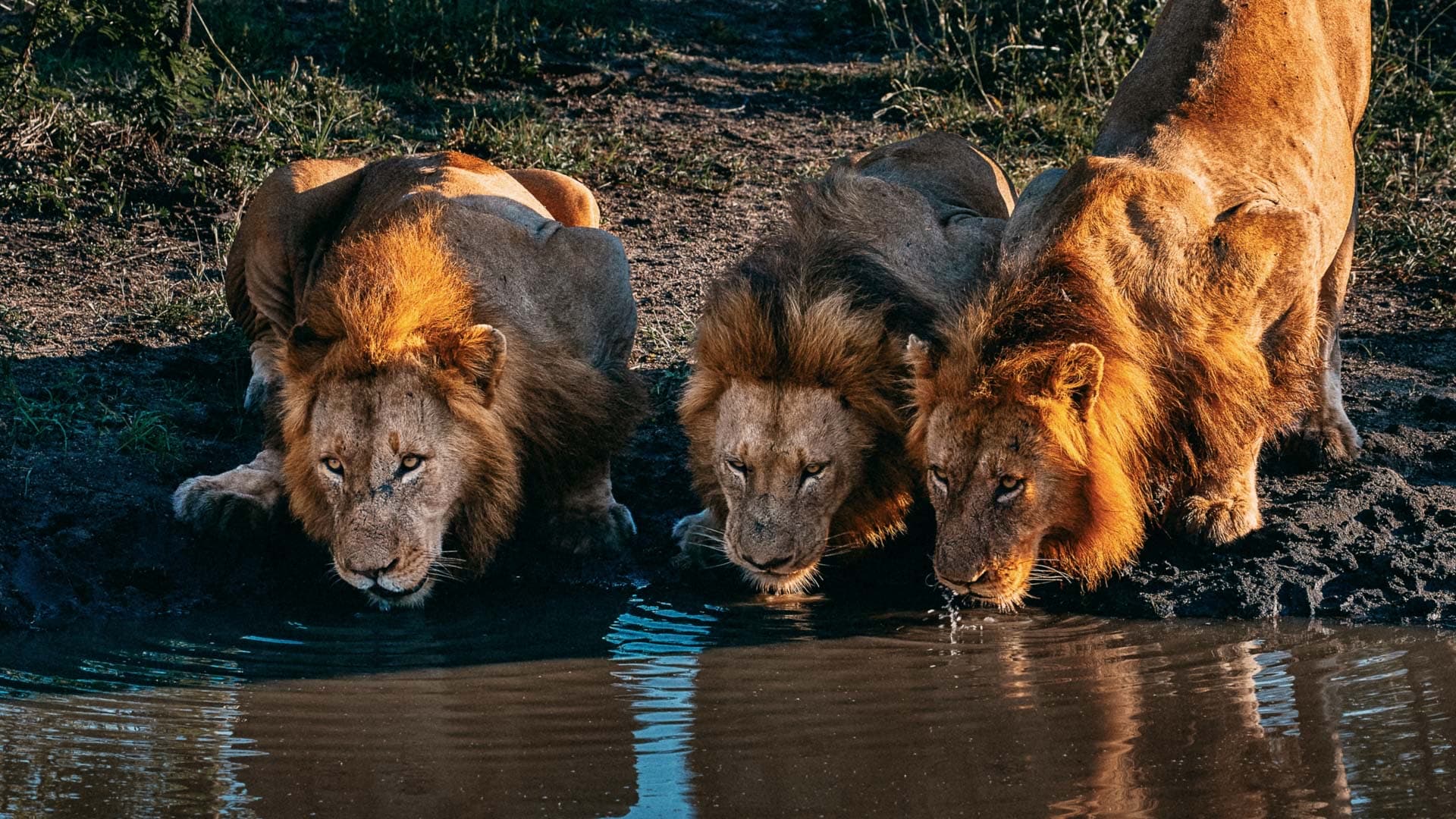Unsere Reise-Destinationen – Video & Foto-Content für Reiseanbieter